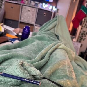 Ashley Bridget Women's Belt - Black